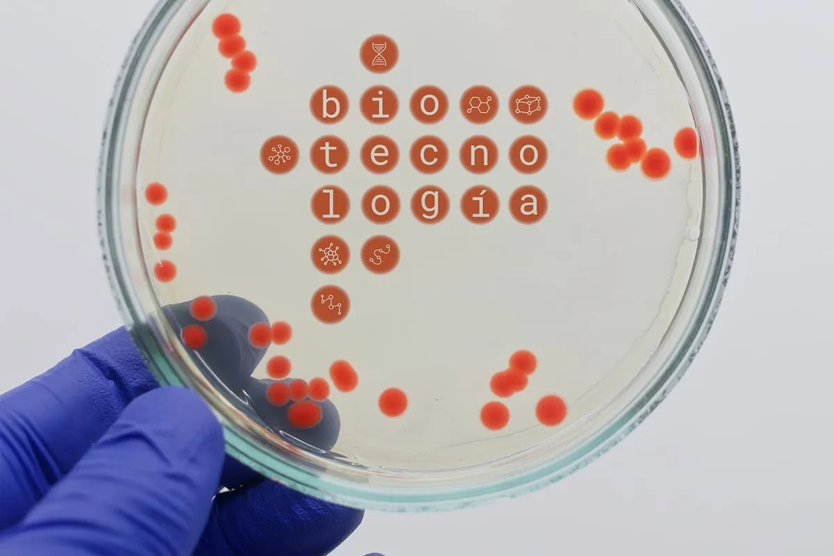 Biotecnología argentina: escala y talento, a la espera de más inversión pública