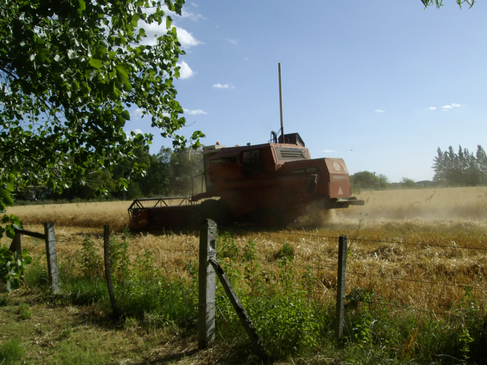 Colheitadeira em uma fazenda em Luján, Argentina. Vassalli 1200.