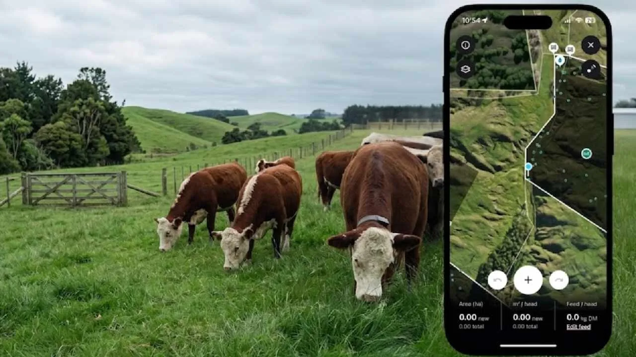 Halter y las cercas virtuales: ¿puede la ganadería manejarse por celular?