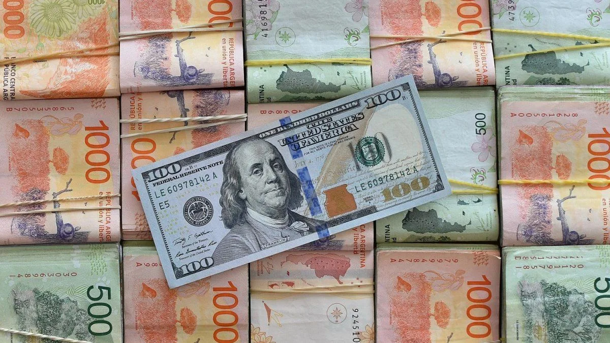 Mayo: rotación hacia bonos CER largos, mayor dolarización y foco en renta fija