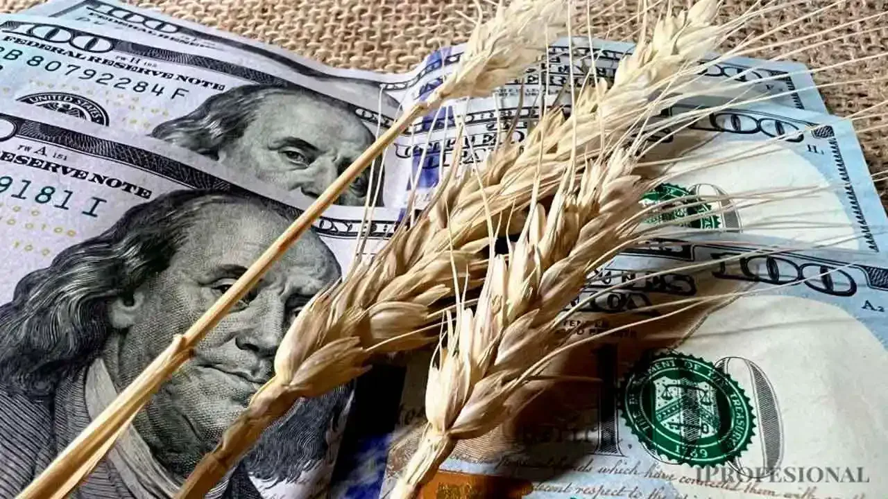 Por qué la baja de retenciones no alcanzó y el Gobierno teme perder al voto rural